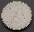 Srebrna moneta 1 oz Ag999, Kanada: Sokół Wędrowny
