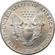 USA, dolar 1992, Amerykański srebrny orzeł