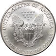 USA, dolar 2002, Amerykański srebrny orzeł