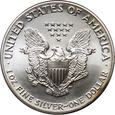 USA, dolar 1989, Amerykański srebrny orzeł