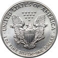 USA, dolar 1991, Amerykański srebrny orzeł