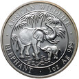 Somalia, 100 szylingów 2007, Dzika Afryka - Słoń, 1 uncja srebra