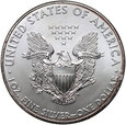 USA, 1 dolar 2013, Silver Eagle, 1 uncja Ag999