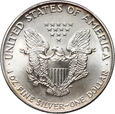 USA, dolar 1990, Amerykański srebrny orzeł