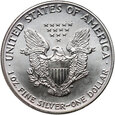 USA, 1 dolar 1991, Silver Eagle