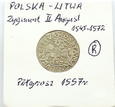 Półgrosz 1557 Zygmunt II August  ALEGAN