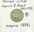 Półgrosz 1556 Zygmunt II August  ALEGAN