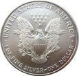 USA - 1 DOLLAR  1999 - ORZEŁ - UNCJA  SREBRA 