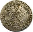 POLSKA - PÓŁGROSZ  ZYGMUNT II AUGUST  1561 Wilno