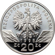 2. Polska, III RP, 20 złotych 1998, Ropucha Paskówka
