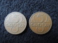 Lot. 2 sztuk monet 5 groszy 1937 rok.