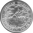 Zambia - 5.000 kwacha 2003 - słonie - BU mat