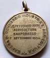 F17368 ARGENTYNA Medal srebrny 1954
