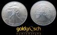 USA Dolar 2001 Silver Eagle   1oz Ag999