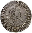 Pomorze Talar 1611, Filip Juliusz, Nowopole