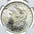 USA 1 dolar 1884 O, Morgan Dollar, NGC MS63