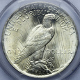 USA 1 dolar 1923, Peace Dollar, PCGS MS62