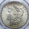 USA 1 dolar 1886, Morgan Dollar, PCGS MS64