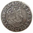 Polska Zygmunt I Stary Trojak 1536 Gdańsk