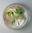 Kanada, 5 Dollars 2003 Liść Kolor