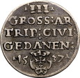 ZG. I STARY Trojak Gdańsk 1537 (R1) Stan 3