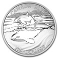 Orka (Orca Whale) 1 Uncja Srebra 100 CAD