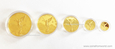 Meksyk 2013 Libertad Złoty Zestaw 5 monet 1,9oz. Rzadki Zestaw