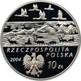 10 złotych 2004 r. - Aleksander Czekanowski - Okazja!