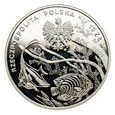 10 złotych 2001 r. - Michał Siedlecki