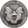 USA, 1 DOLAR American Eagle 1988 (K40001)