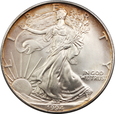 USA, 1 DOLAR American Eagle 1994 (K40004)