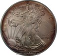 USA: 1 dolar 2010 rok. SILVER EAGLE. patyna.