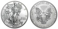 1 Dolar (2013) American Eagle 1 OZ