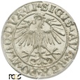 PGNUM - Półgrosz (1/2 grosza) 1550, mennica Wilno. PCGS MS 64