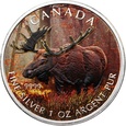 PGNUM - Kanada 5 dolarów 2012, łoś - kolorowa emalia