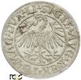 PGNUM - Półgrosz (1/2 grosza) 1547, mennica Wilno. PCGS MS 62