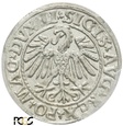 PGNUM - Półgrosz (1/2 grosza) 1547, mennica Wilno. PCGS MS 63
