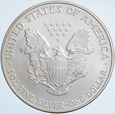 C339. USA, Dolar 2004, Statua, st 1-, uncja srebra