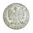 3595NA 5 Złotych 1936 rok Polska (Żaglowiec)