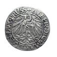 4879NA Grosz 1545 rok Prusy Książęce Królewiec