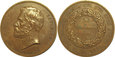 SN11178 Medal Karol Estreicher Polska (Wiedeń) 1889 rok