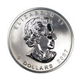 4241NA 5 Dolarów, Dollars 2007 Kanada Liść Klonu