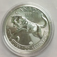 Kanada 5 Dolarów 2016 Tygrys