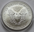 USA Silver Eagle 2005 - KOLOR -pociąg