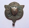 422. Haslicht (Kostrza, gmina Strzegom) - medalik pamiątkowy, srebro