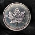 5 dolarów 2010 Kanada Liść Klonowy UNCJA SREBRO