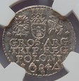 Zygmunt III Waza Trojak 1594 Malbork NGC MS62