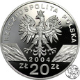 III RP, 20 złotych, 2004, Morświn 