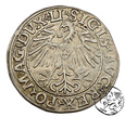 Polska, Zygmunt II August, półgrosz, 1548, Wilno