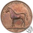 Szwecja, medal, Oscar II (1872-1907), za rozwój hodowli koni